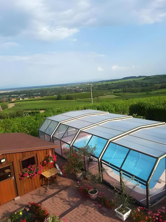 Chambre D'Hotes De La Tulipe Mittelbergheim Zewnętrze zdjęcie